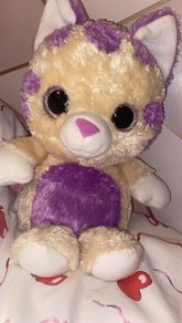 Cute cat teddy