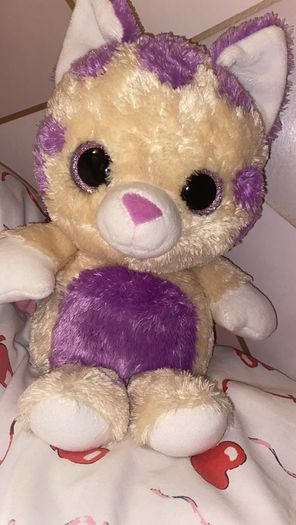 Cute cat teddy
