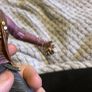 Neca Image 3
