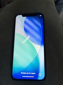 Apple 12 (blue)