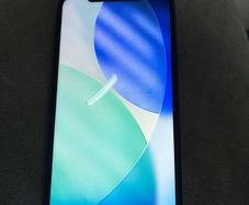 Apple 12 (blue)