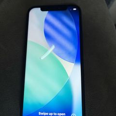 Apple 12 (blue)