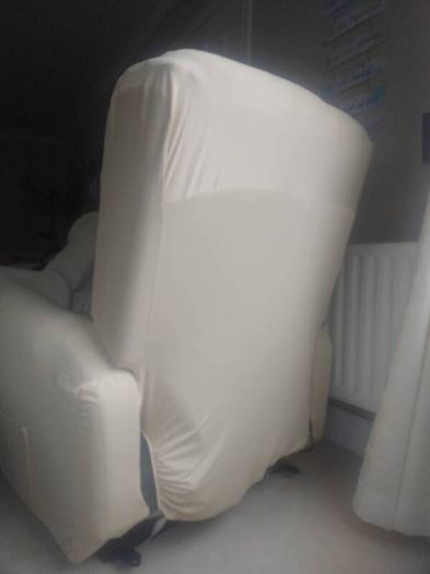 Dual motor riser recliner