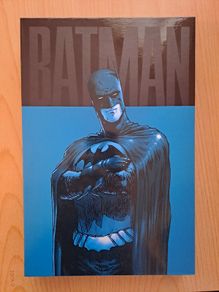 Absolute Batman & Robin: Batman Reborn