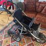 Teutonic Y2K Buggy Image 3