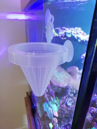 Fish Feeder