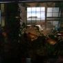 pet adoption Image 3