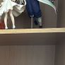anime figure demon slayer Image 7
