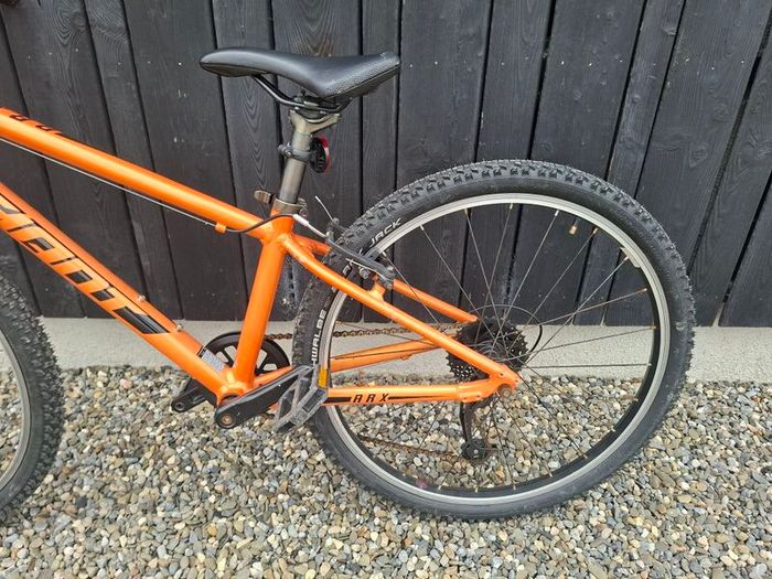 Giant ARX 24 inch kids bike
