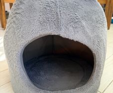 cat bed