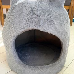 cat bed