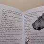 CLARICE BEAN story books by Lauren Child Image 6