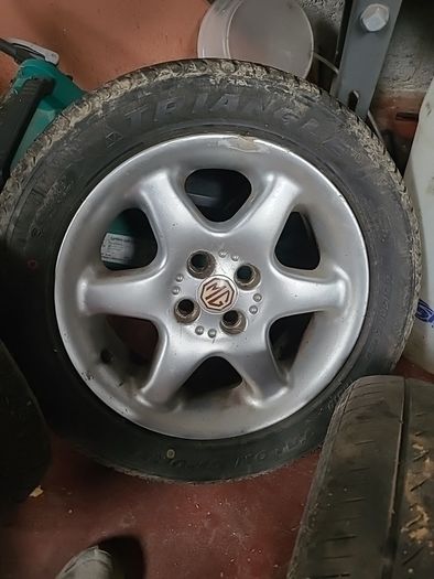 mg alloys