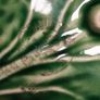 Vintage Portugal made Bordallo Pinheiro Green Glazed Cabbage Ceramic Dish Image 3