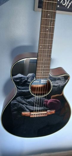 Ibanez AEG50N nylon acoustic
