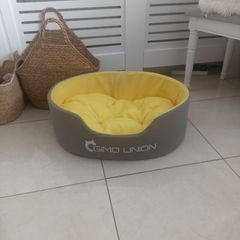 dogs beds