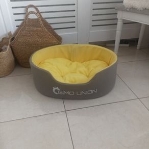 dogs beds
