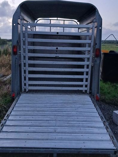 Ifor Williams Trailer