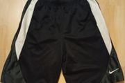 Nike Shorts ((Adult M/Immaculate))