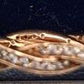pandora ring Image 3