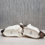 Old Court Ware Staffordshire Dogs Image 5