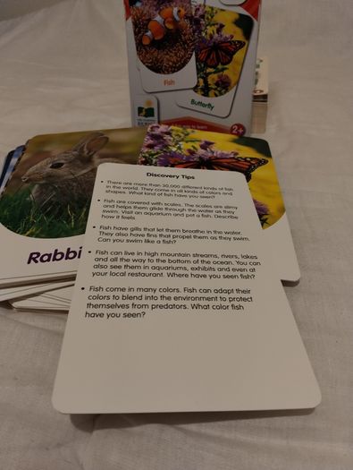 The Learning Journey Discovery Flash Cards