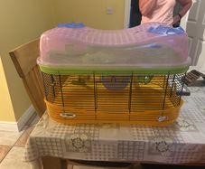 hamster cage and accessories