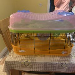 hamster cage and accessories