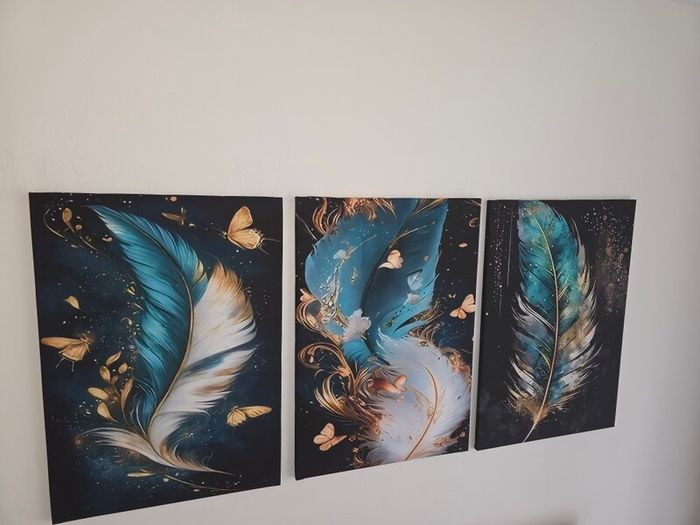 3 canvas framed 46x66cm each size
