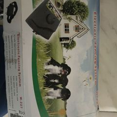 electric dog collar
