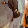Polo Ralph Lauren tortoisehell sunglasses Image 5