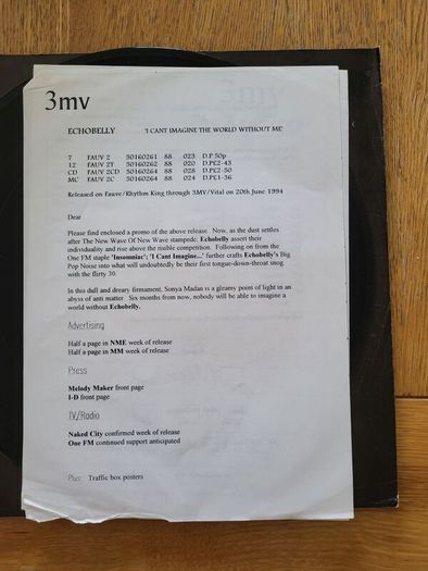 Echobelly I Cant Imagine A World Without Me 12 inch vinyl promo