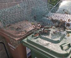 free chicken wire