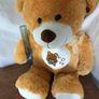 New Large Very Soft Golden Teddy Image 2