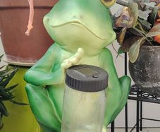 Frog Statue