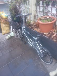Ahooga Folding Ebike