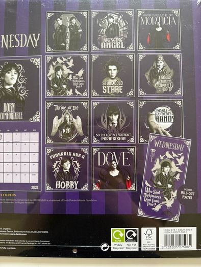 Official Wednesday TV Show 2026 A3 Wall Calendar(New and Sealed)