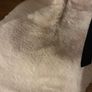 White Company fur  stole Image 4