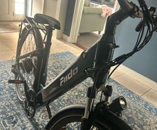 Fiido C11 Electric Bike