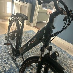 Fiido C11 Electric Bike