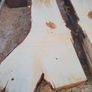 Hardwood timber Image 2