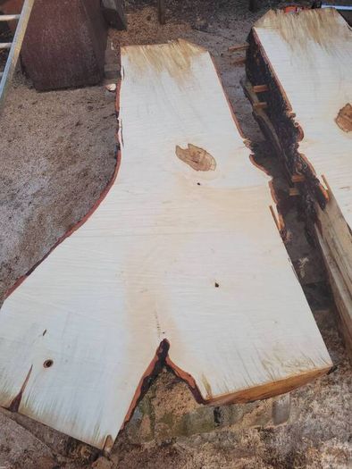 Hardwood timber