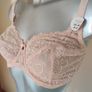 BNWT Nude lace none padded underwired Dunnes bra cup34E Postage included Image 2