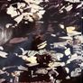 Echo & The Bunnymen vinyl 12" single Image 2