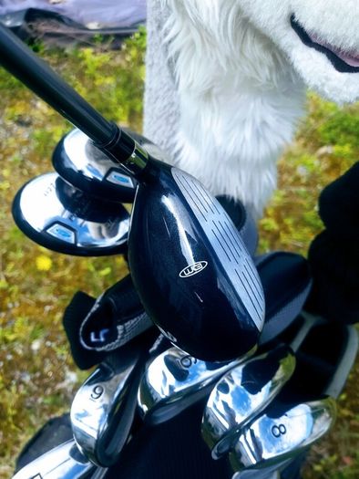 Set of Ladies Golf Clubs