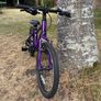 Kid's Bike - Giant 20" Image 2