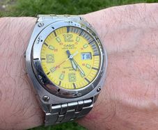 casio