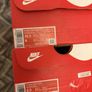 Nike Dunk Low "Harvest Moon" Image 3
