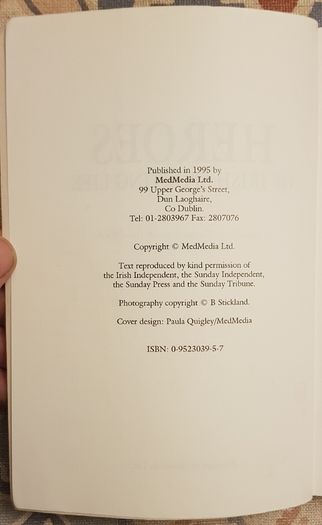 Heroes Of Irish Sporting Life by Liam Hayes, Vincent Hogan and David Walsh