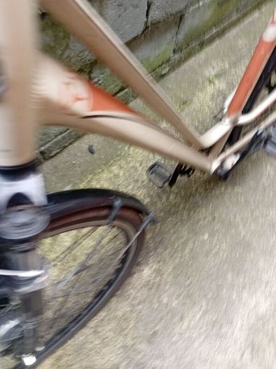 adults bike